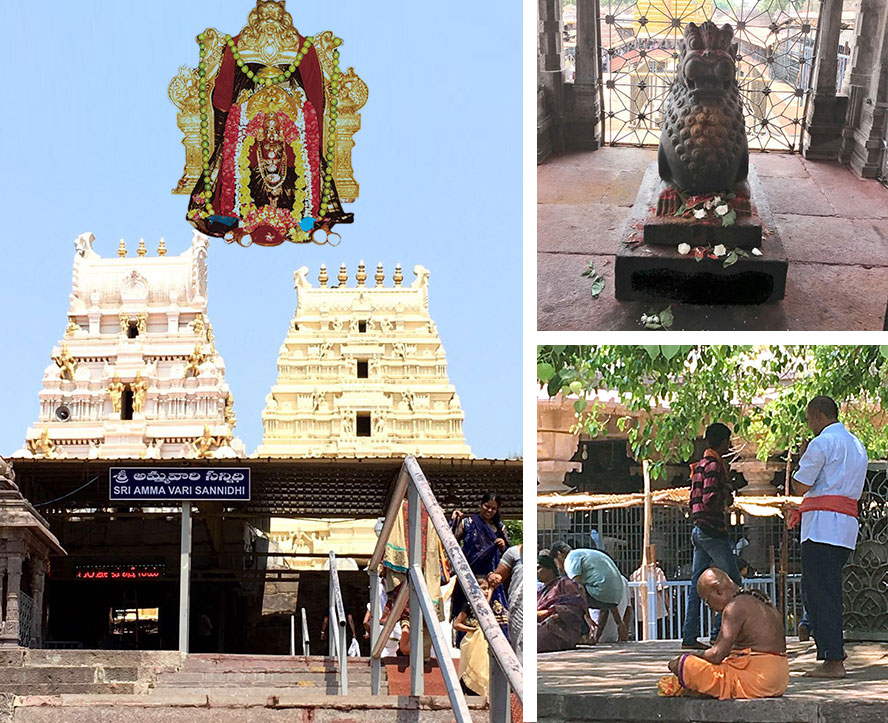 Maa Bhramaramba Shaktipeeth temple inside the campus