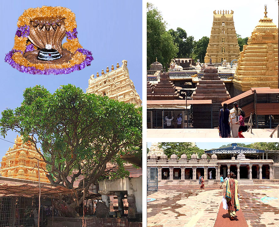 Finally, the divine destination-Inside Shri Mallikarjuna Swamy temple