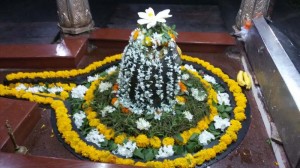 Nageshwara-Jyotirlinga-13